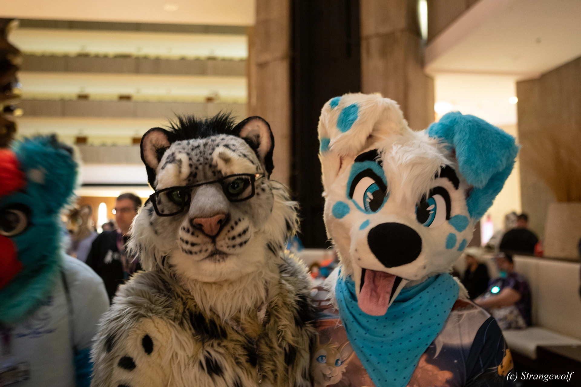 full image 1R3A0281-lr19t.jpg