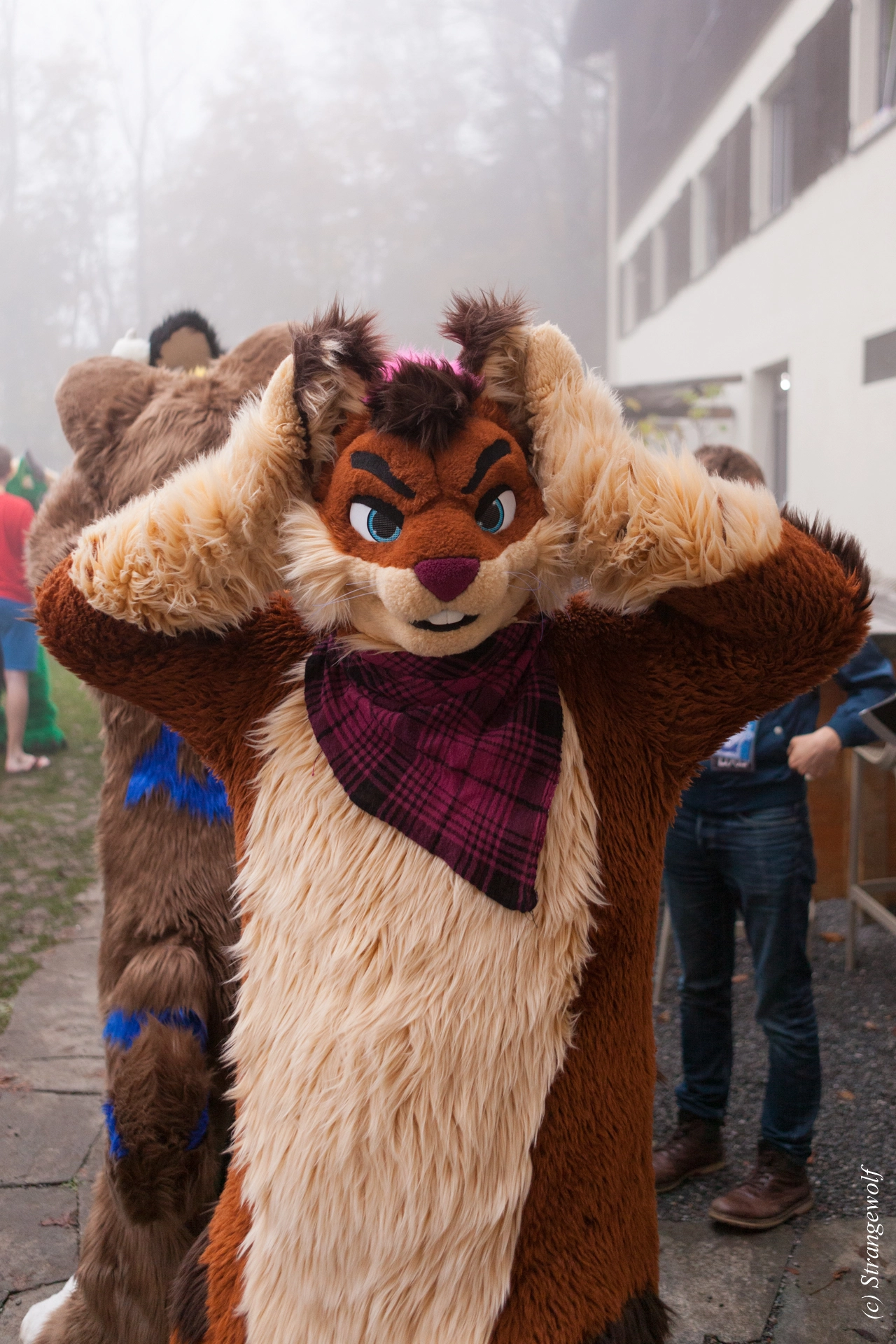 full image IMG_7001-lr19t.jpg