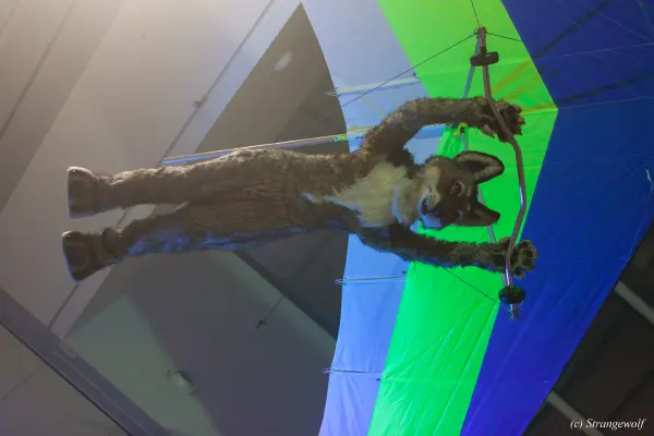 IMG_5017-lr19t.jpg of EF/EF24/