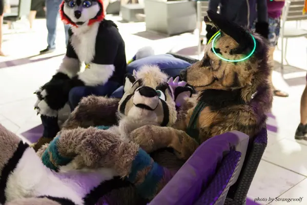 IMG_8682-lr16t.jpg of ESG/ESG2015/