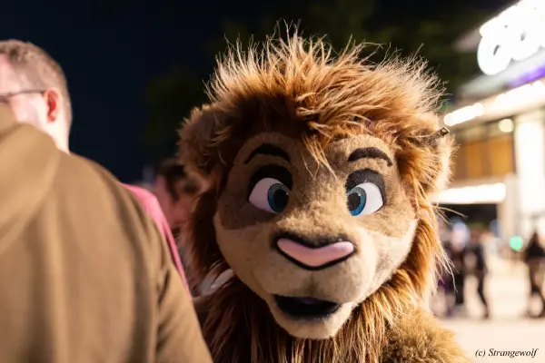 1R3A9534-lr19t.jpg of EF/EF29/