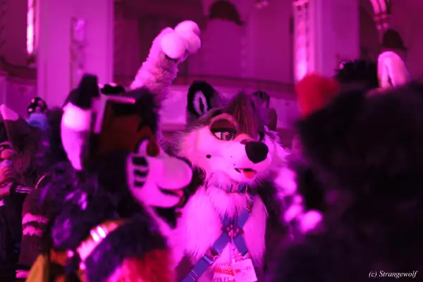 IMG_2960-lr19t.jpg of ANE/ANE2022/