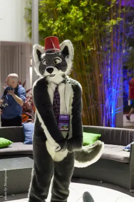 IMG_8515-lr16t.jpg of ESG/ESG2015/