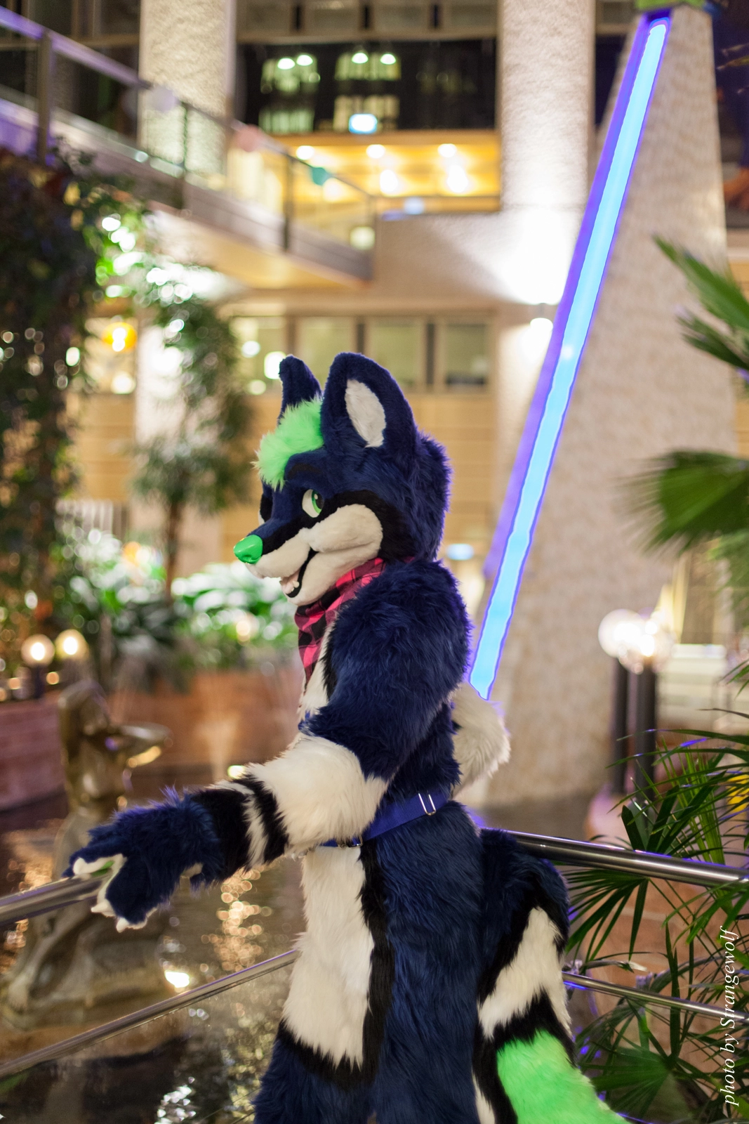 full image IMG_1865-lr16t.jpg