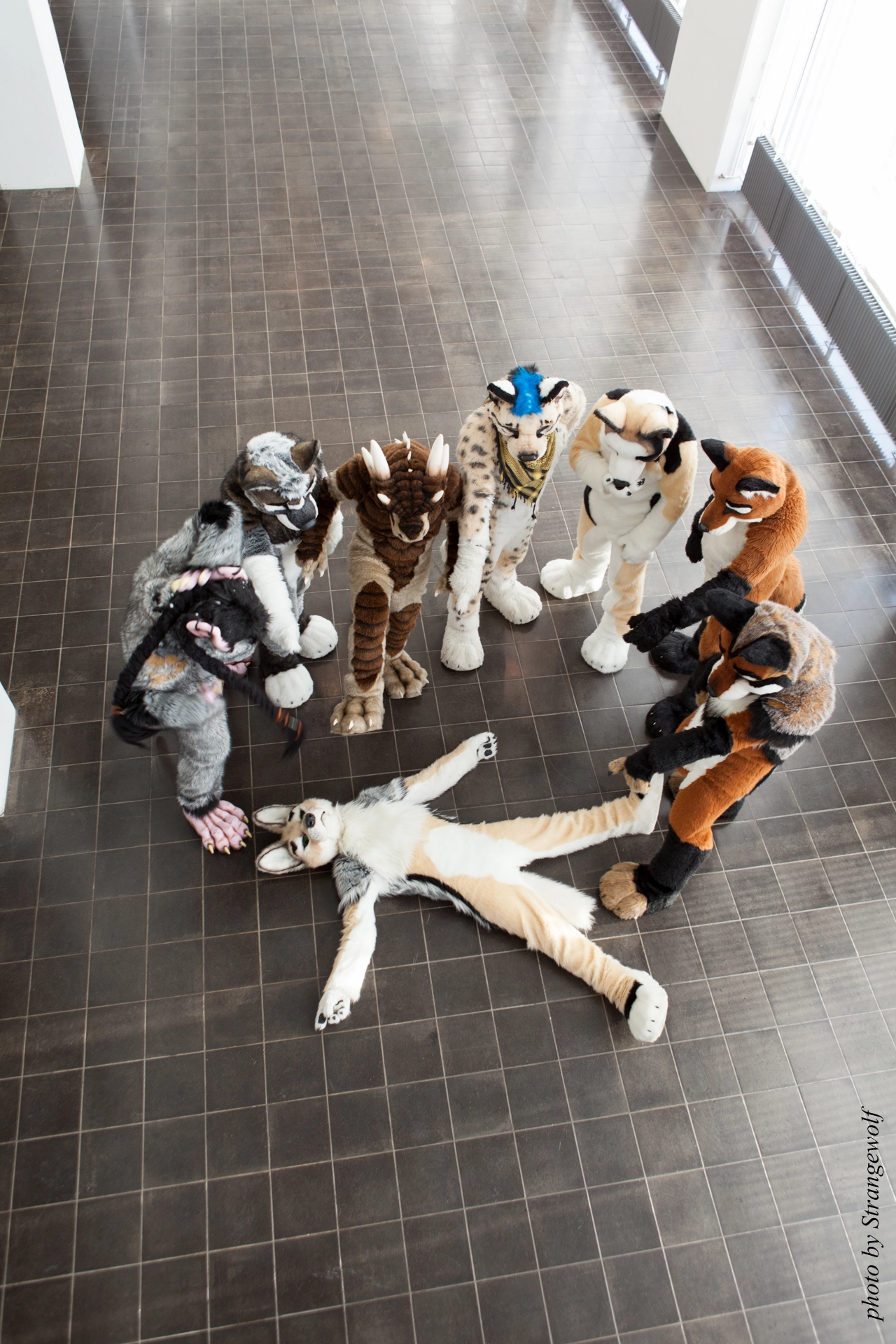 full image IMG_0380-lr19t.jpg