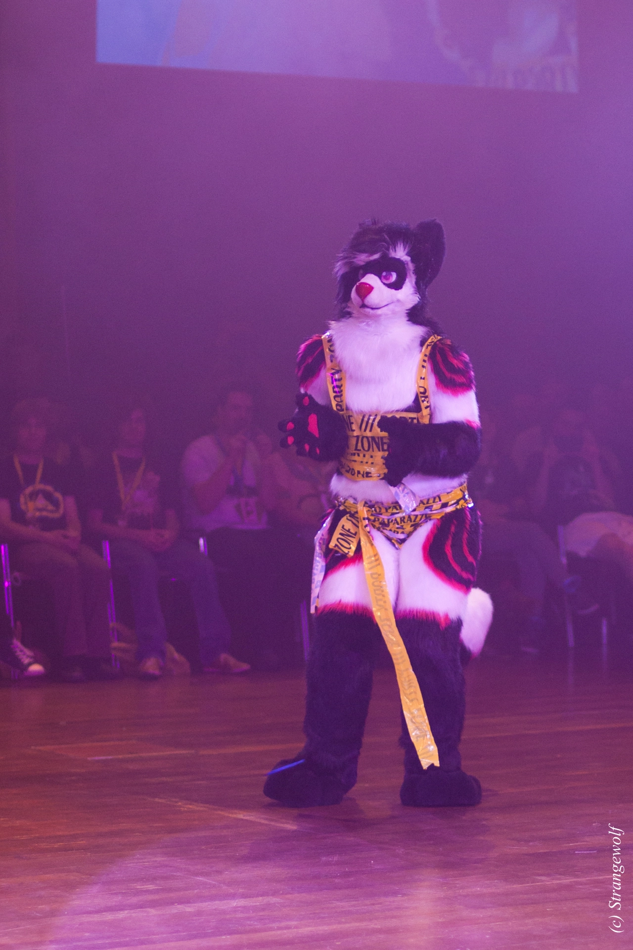 full image IMG_6596-lr19t.jpg