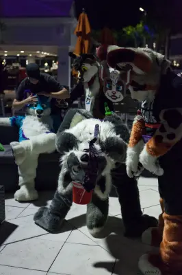 IMG_8575-lr16t.jpg of ESG/ESG2015/