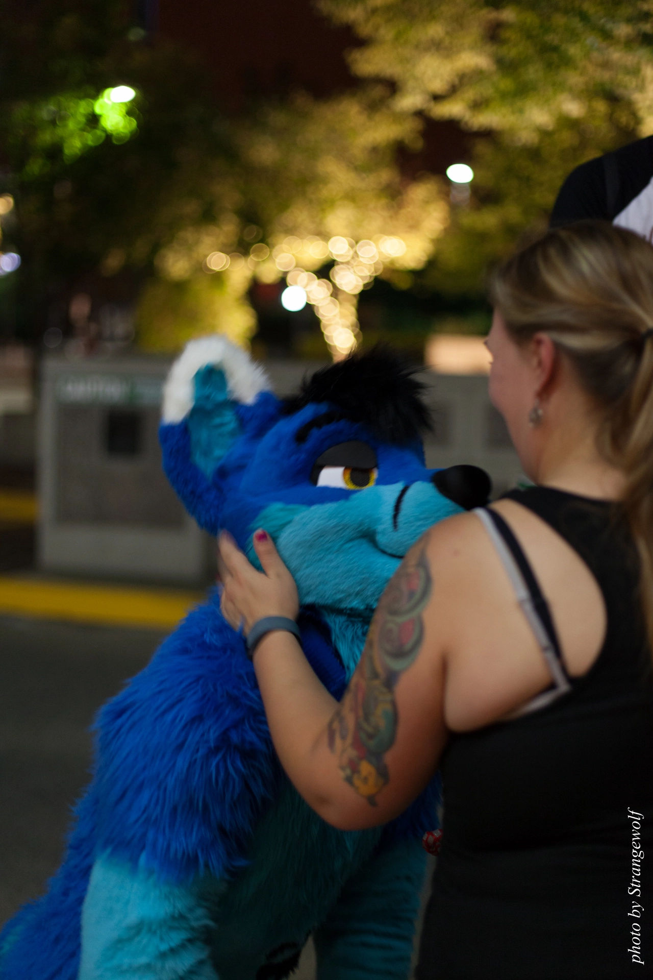 full image IMG_4364-lr19t.jpg