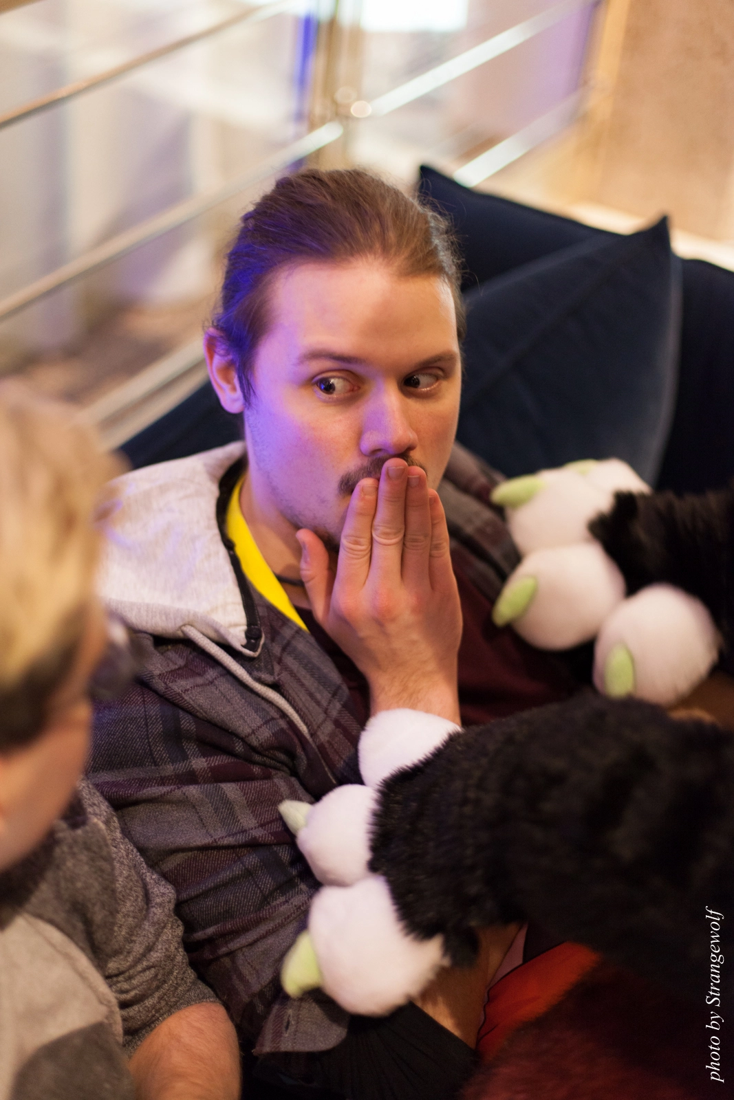 full image IMG_2249-lr16t.jpg