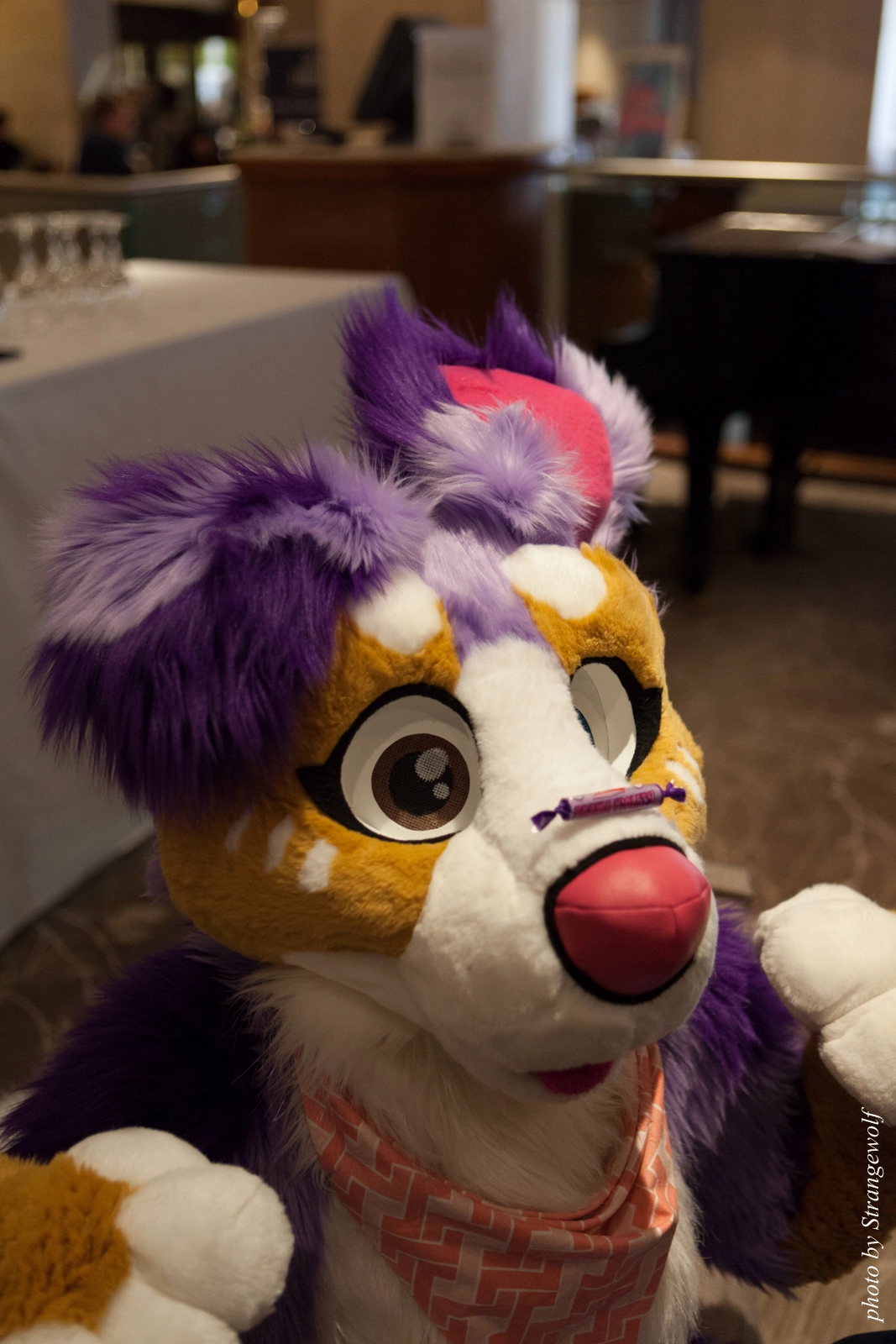 full image IMG_7536-lr16t.jpg