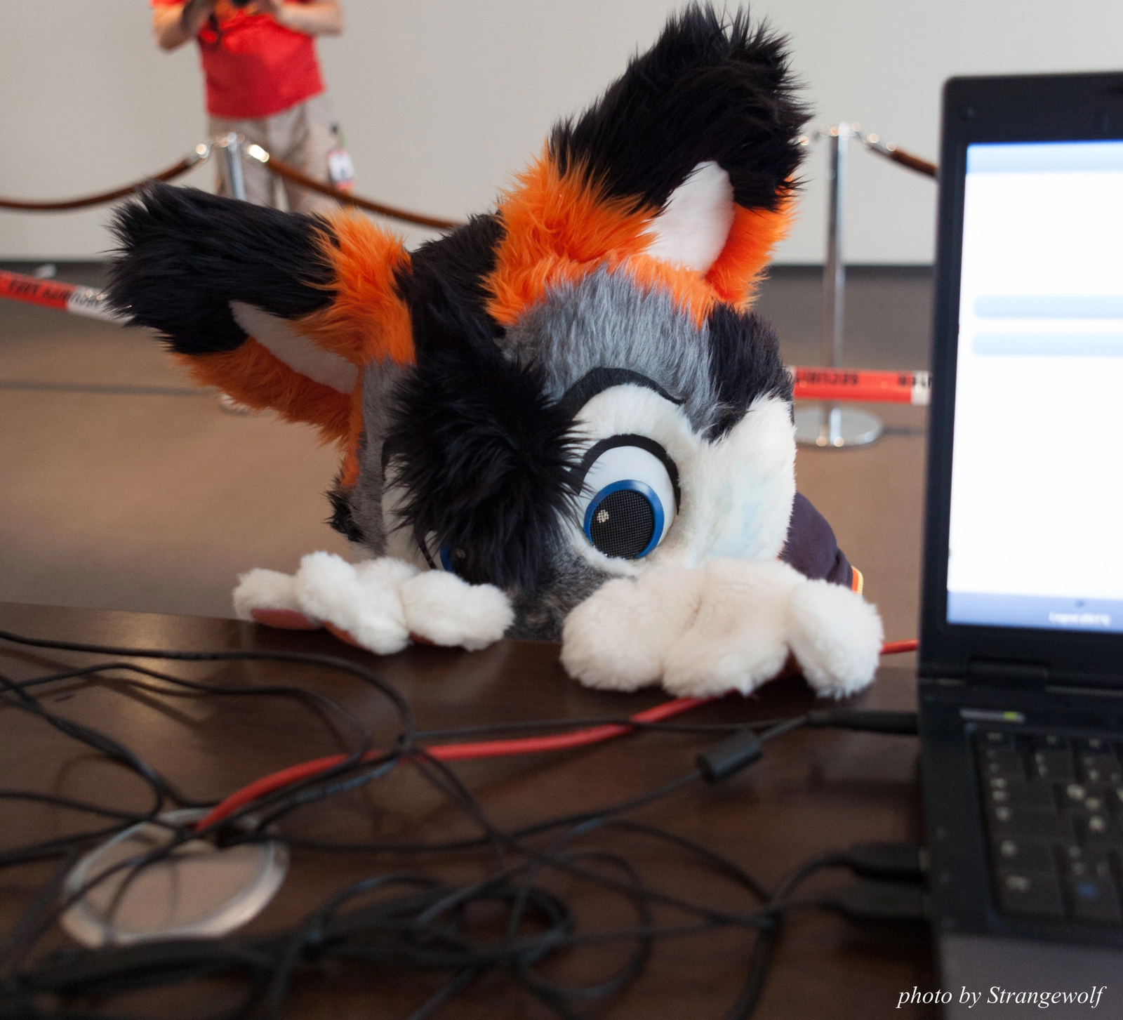 full image IMG_1586-lr16t.jpg