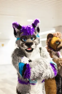 IMG_1136-lr16t.jpg of FC/FC2017/