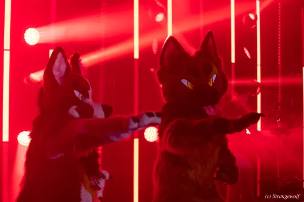 1R3A5679-lr19t.jpg of MFF/MFF2024/ReccaOddy/