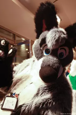 IMG_1165-lr.jpg of MFF/MFF2013/