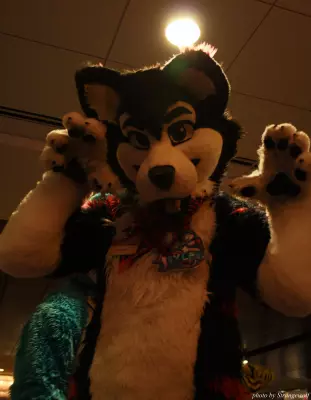 IMG_1124-lr.jpg of MFF/MFF2013/