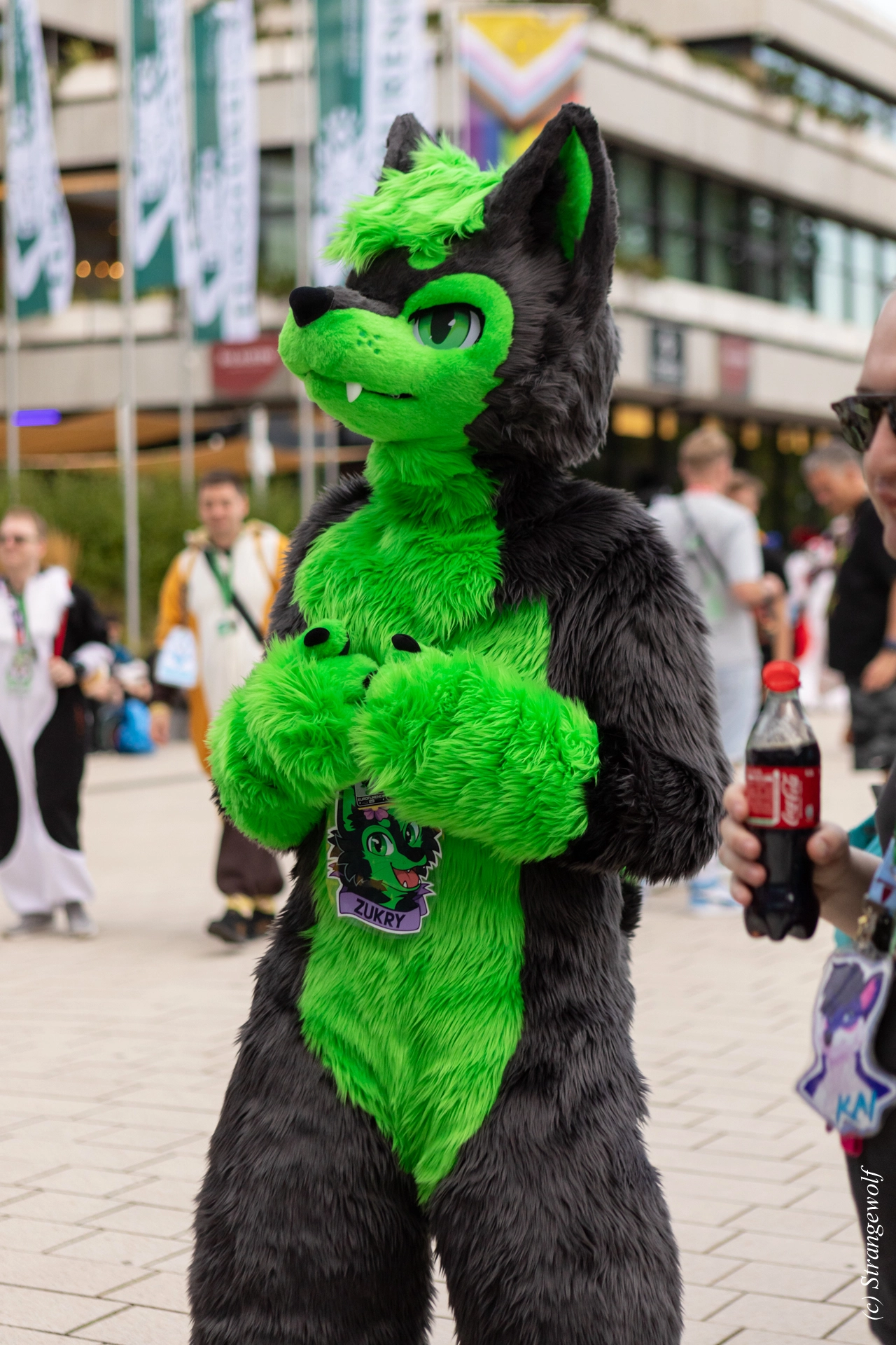 full image 1R3A9084-lr19t.jpg