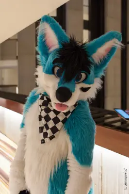 IMG_1477-lr19t.jpg of FWA/FWA2018/