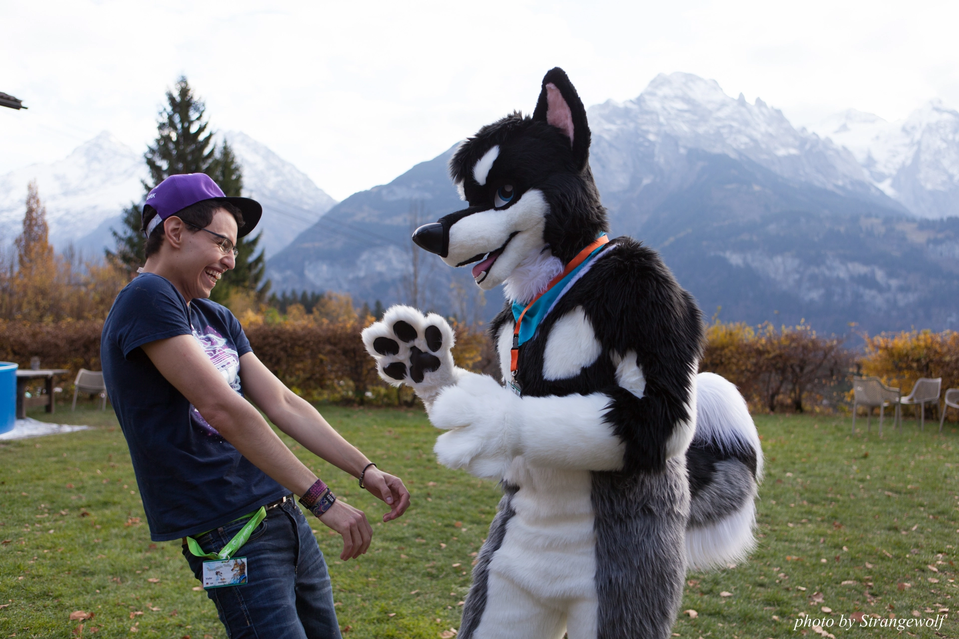 full image IMG_7954-lr19t.jpg