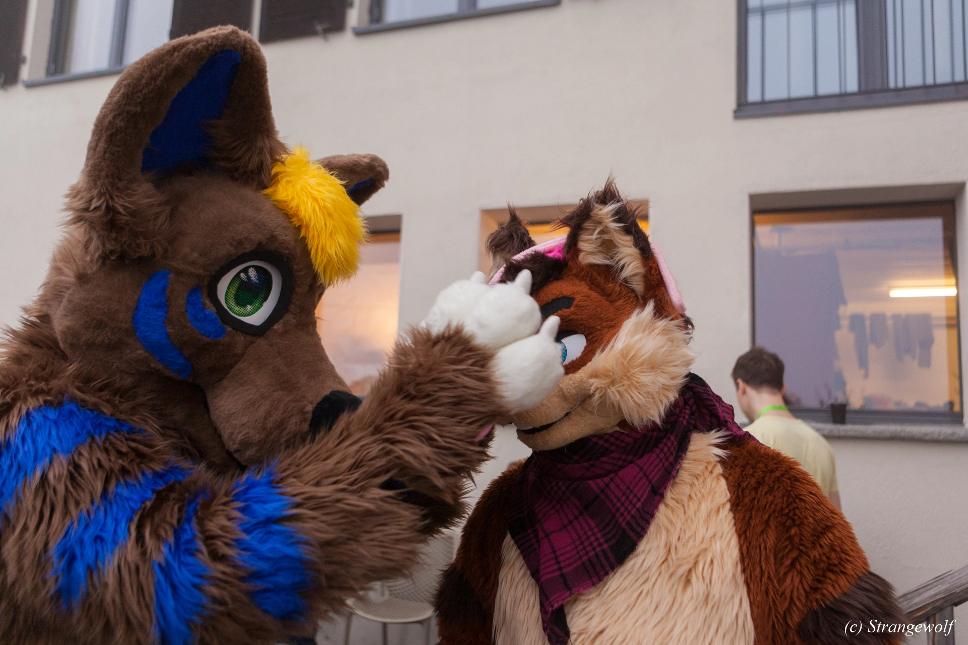 full image IMG_7004-lr19t.jpg