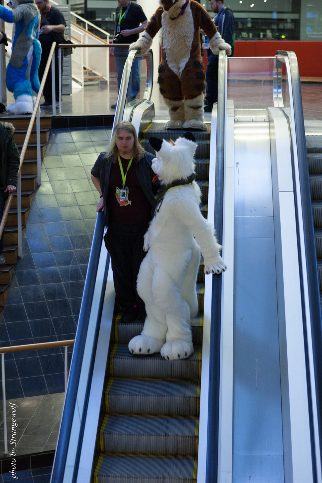 full image IMG_1715-lr16t.jpg