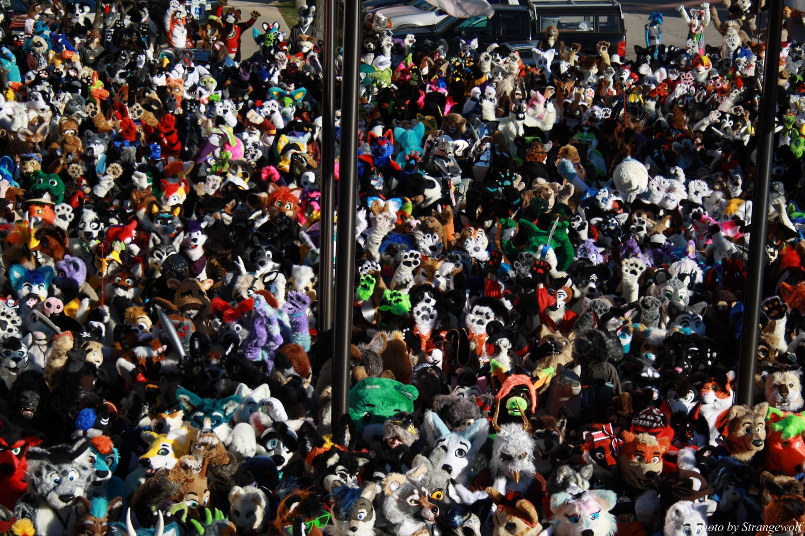 full image IMG_0638-lr.jpg