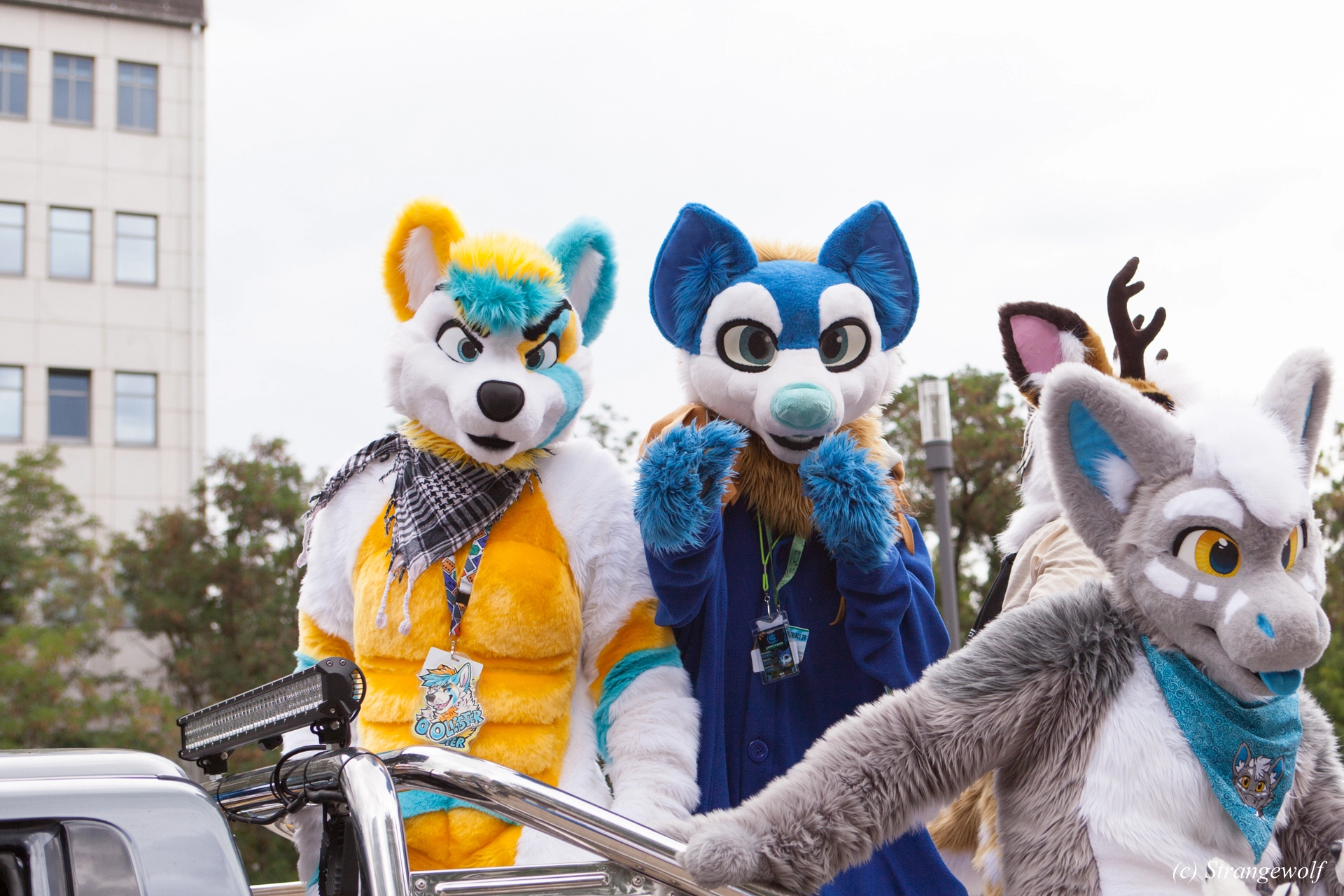 full image IMG_5287-lr19t.jpg