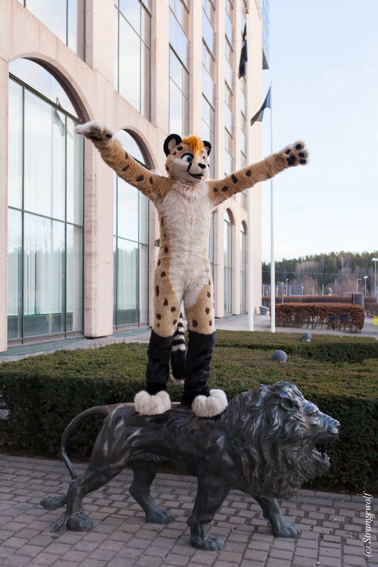 full image IMG_8790-lr19t.jpg