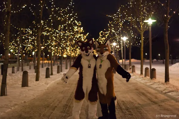 IMG_9429-lr19t.jpg of NFC/NFC2018/