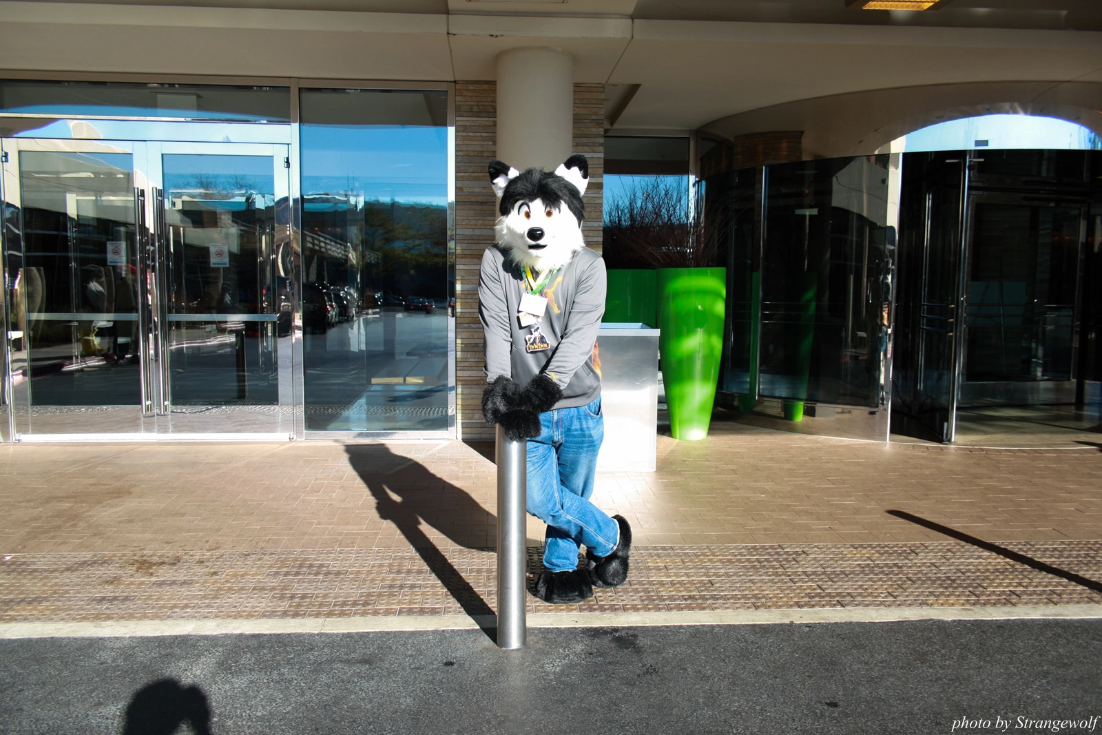 full image IMG_0900-lr.jpg