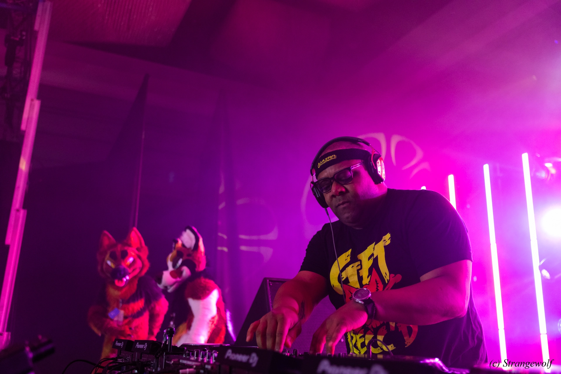 full image 1R3A5208-lr19t.jpg