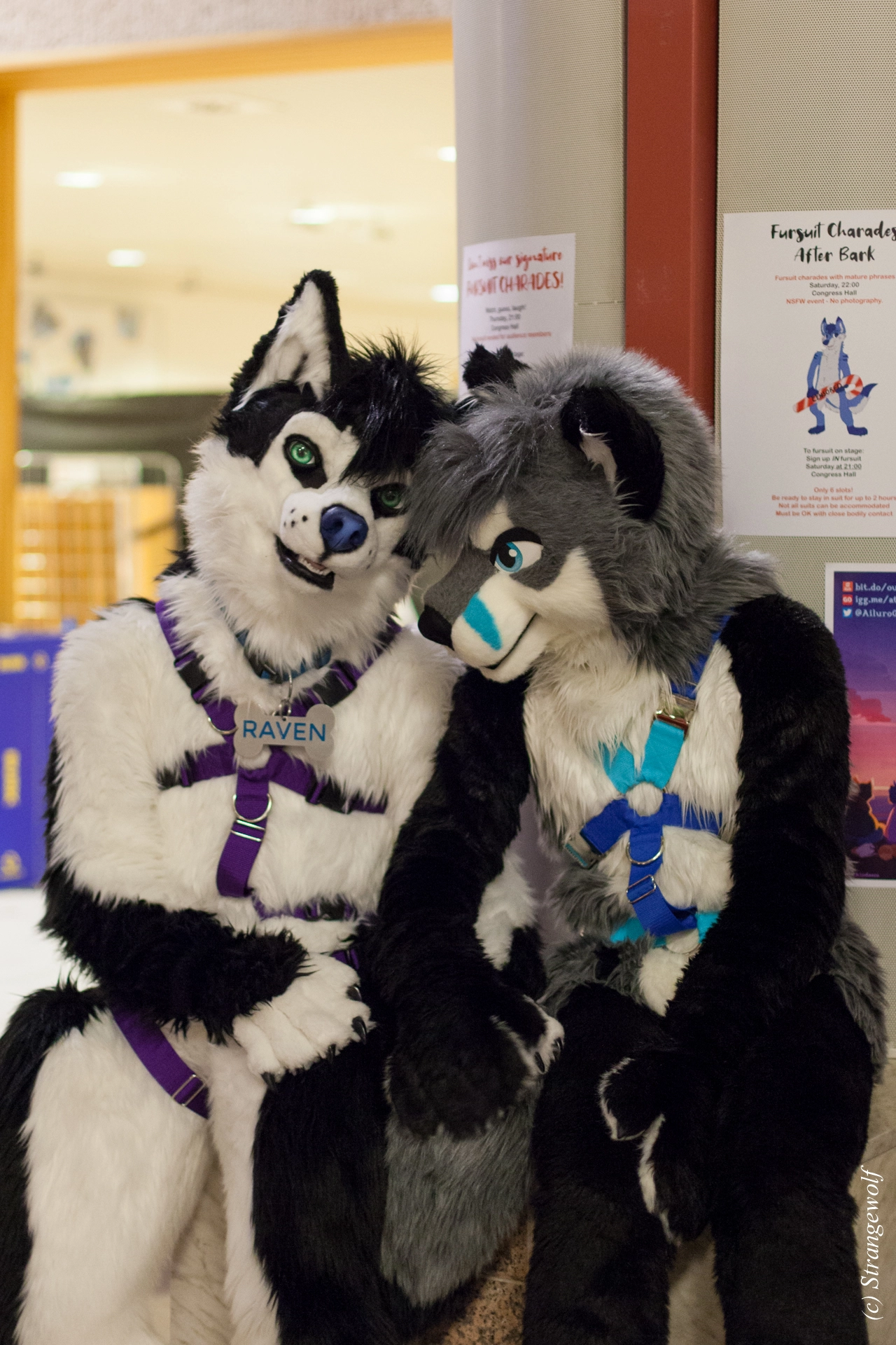 full image IMG_9373-lr19t.jpg