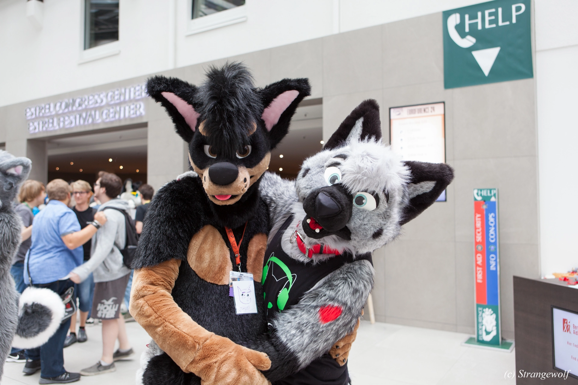 full image IMG_5337-lr19t.jpg