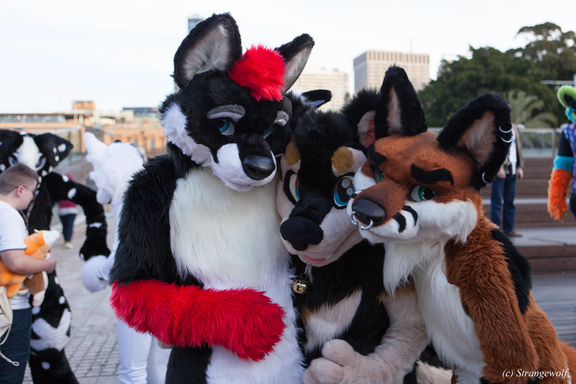 full image IMG_4662-lr19t.jpg