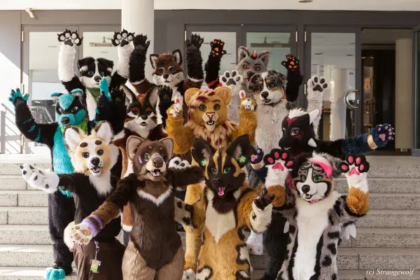 IMG_4911-lr19t.jpg of EF/EF24/Fotoshoot-Neonfurs/