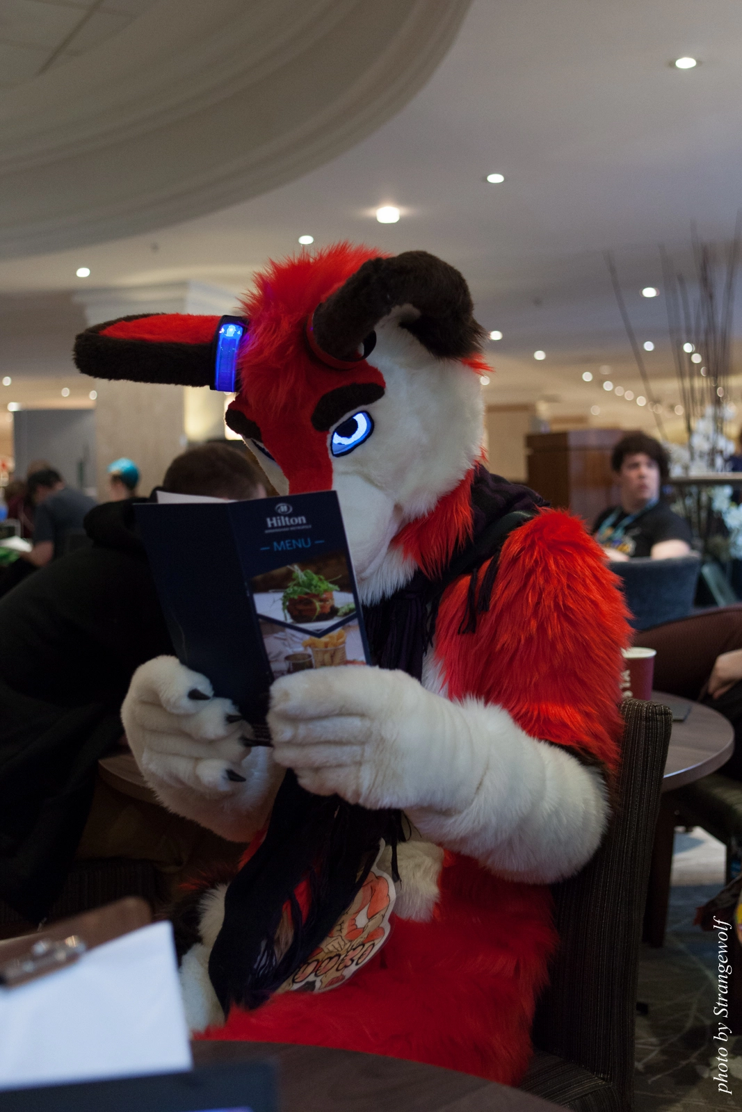 full image IMG_7732-lr16t.jpg