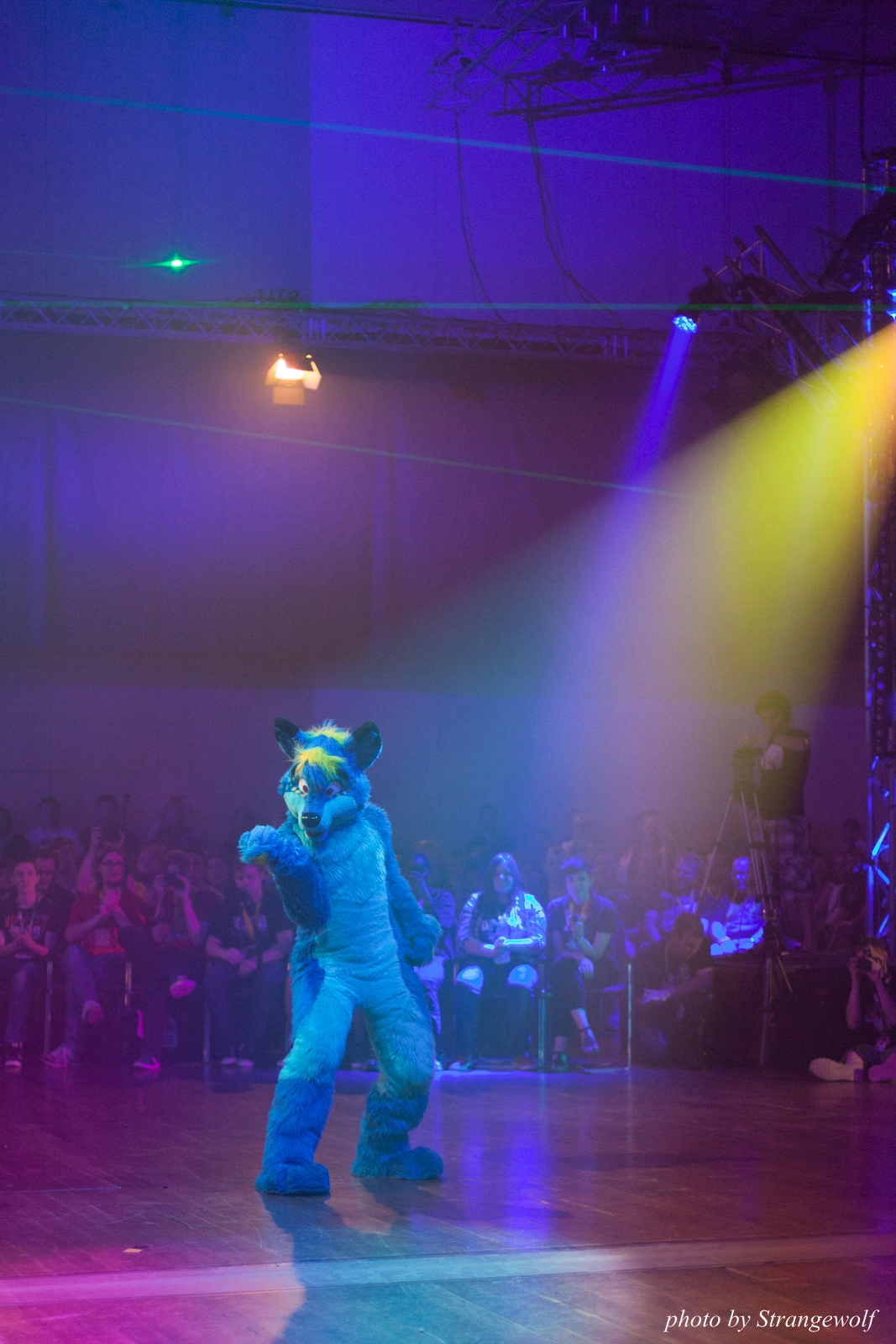 full image IMG_2799-lr16t.jpg