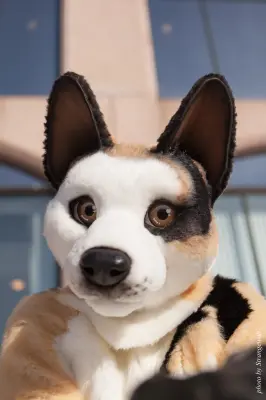 IMG_9586-lr19t.jpg of NFC/NFC2018/