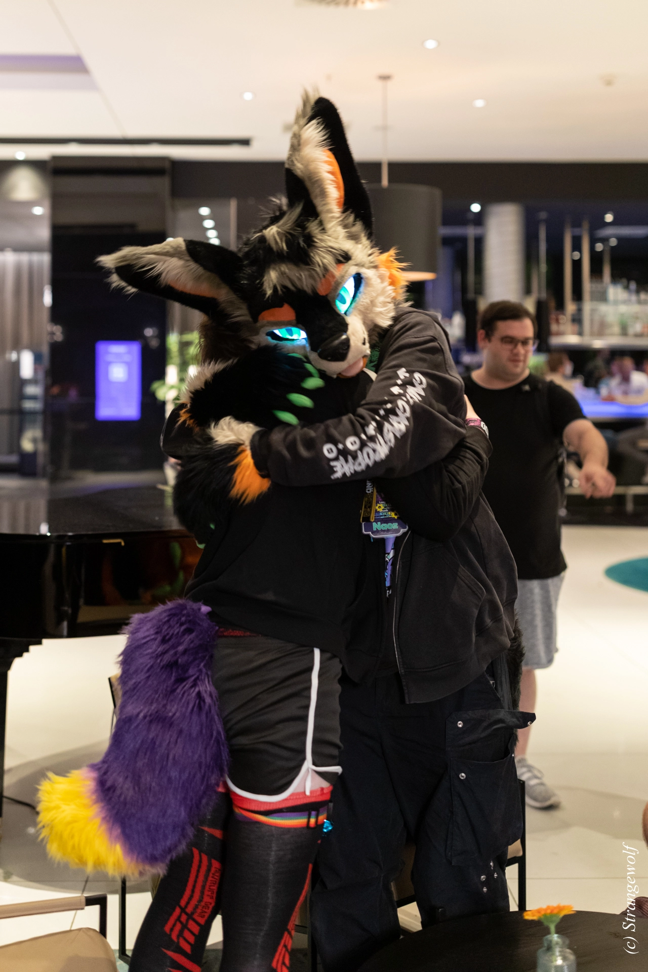 full image 1R3A9394-lr19t.jpg