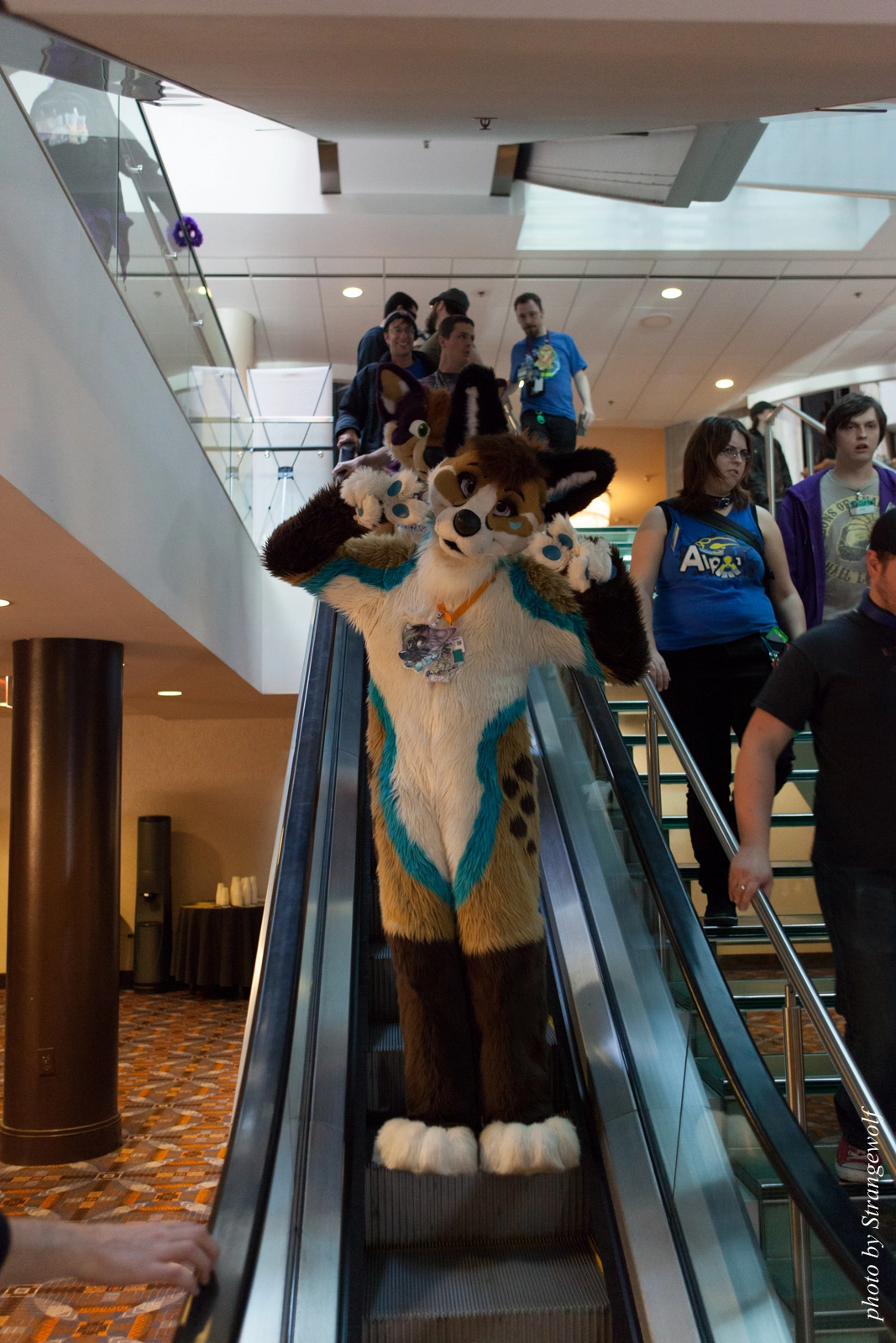 full image IMG_4130-lr16t.jpg