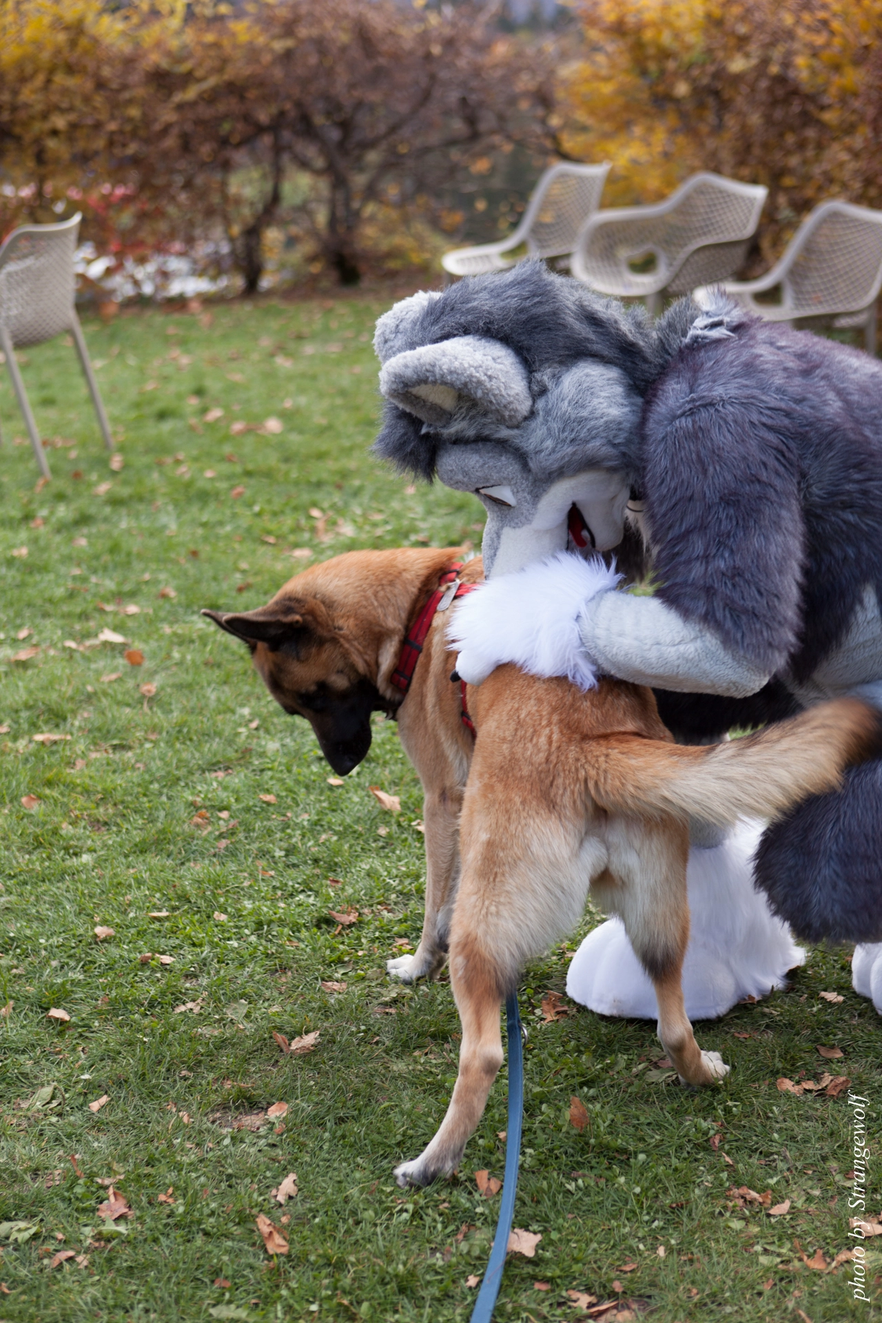 full image IMG_7979-lr19t.jpg