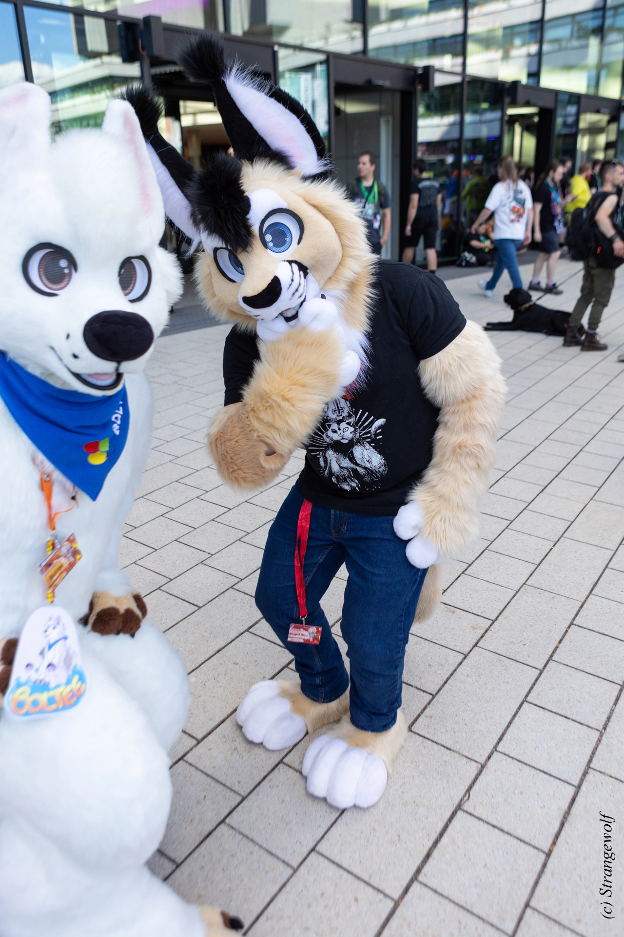 full image 1R3A9265-lr19t.jpg