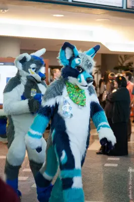 IMG_1046-lr16t.jpg of FC/FC2017/