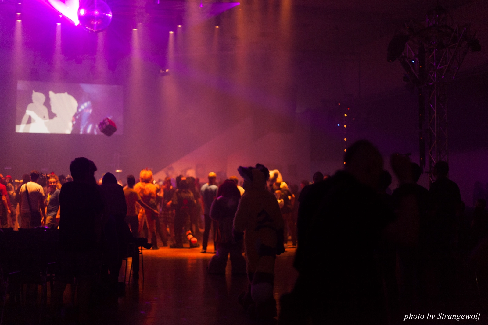 full image IMG_1635-lr16t.jpg