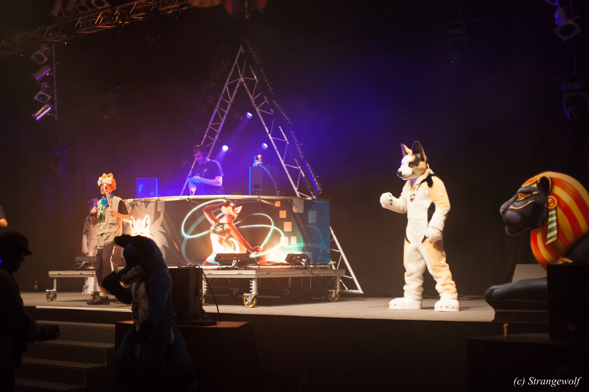 full image IMG_6696-lr19t.jpg