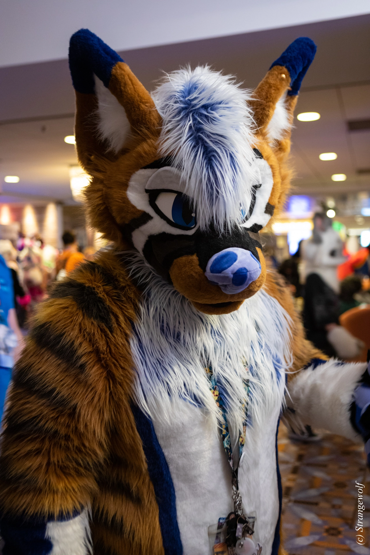 full image 1R3A0292-lr19t.jpg