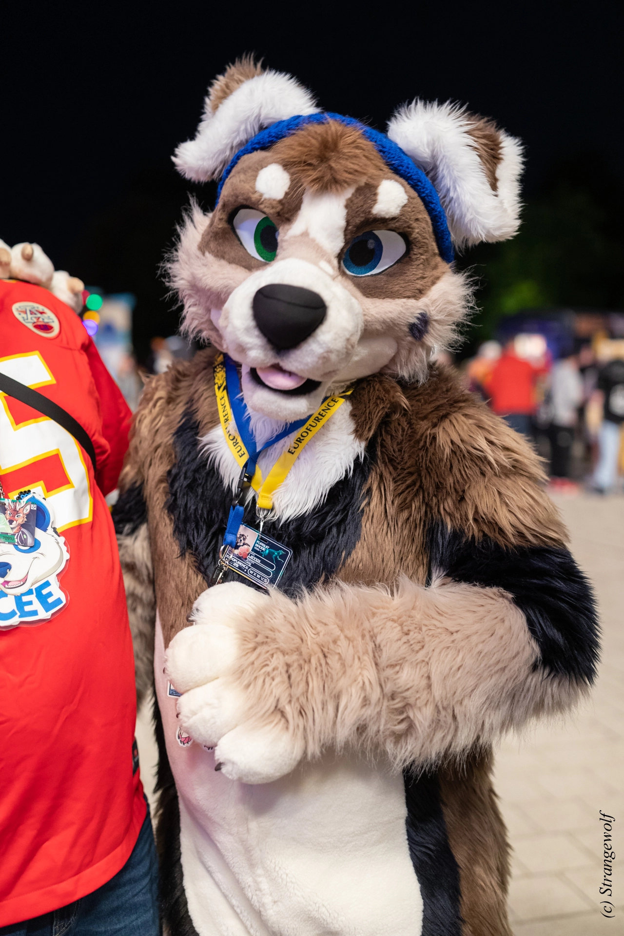 full image 1R3A9431-lr19t.jpg