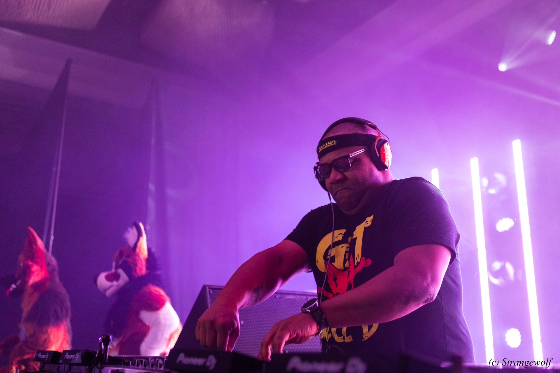 full image 1R3A5218-lr19t.jpg