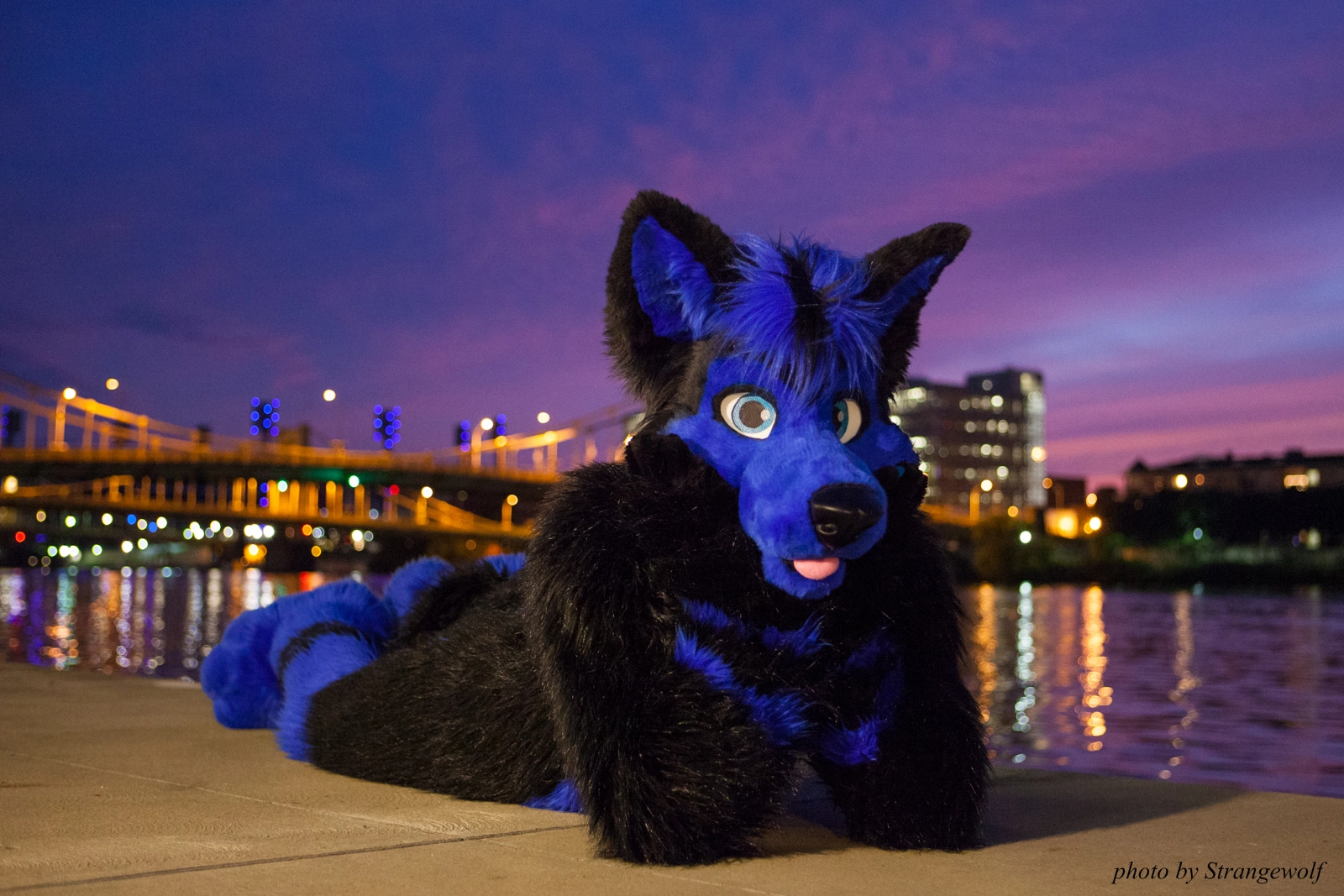 full image IMG_8429-lr16t.jpg