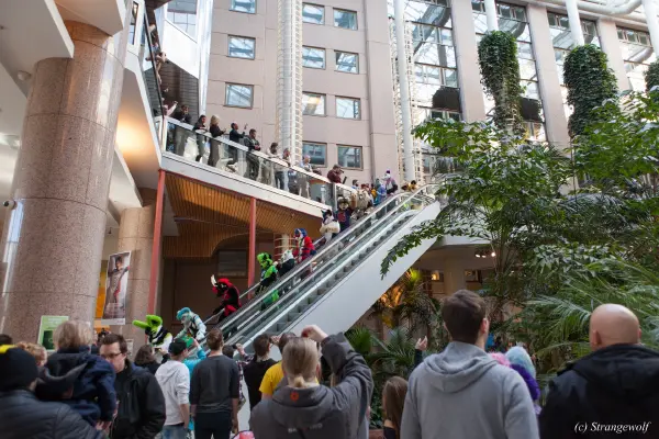 IMG_9469-lr19t.jpg of NFC/NFC2018/