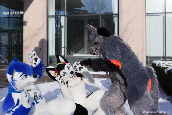 IMG_0107-lr19t.jpg of NFC/NFC2018/